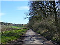 Meeting Lane, looking east