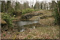 Flooded quarry, Hermitage Wood