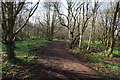 Trans Pennine Trail towards Canklow Woods