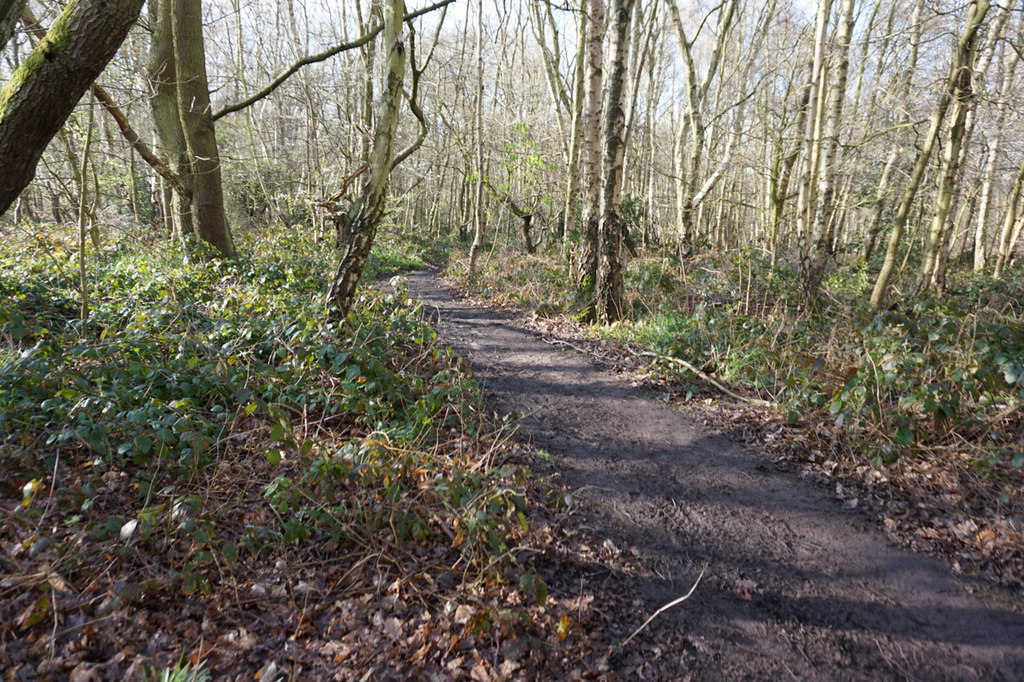 Trans Pennine Trail in Canklow Woods © Ian S :: Geograph Britain and ...