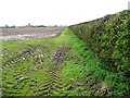 SE5557 : Muddy farmland south of Shipton, on a wet day by Christine Johnstone