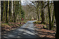 Telephone box and road junction, Capel Hermon