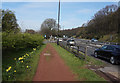 Path alongside West Bawtry Road