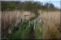 Path heading towards Catcliffe