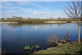 Catcliffe Flash Local Nature Reserve