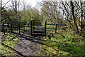 Stile on path  off Mill Lane Treeton