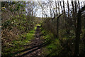 Path leading towards Orgreave