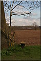 Aubourn Moor, view to Malborough Farm