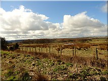 NZ2157 : Looking SW across Burdon Moor by Robert Graham