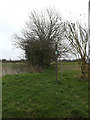 Footpath to the A1120 Church Road