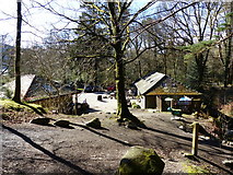 NY2328 : The Old Sawmill Tearoom, Dodd Wood by Anthony Foster