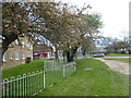 Green alongside Field End Road