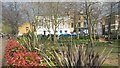 Colourful garden beside Tavistock Crescent