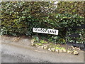 TM1354 : School Lane sign by Geographer
