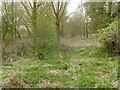 Site of Barrowden Mill leat