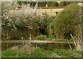 Barrowden Mill site, tailrace pond