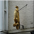 Detail of the Falcon, Micklegate, York