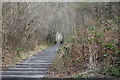 Steps  to footbridge over River Sirhowy