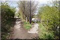 Trans Pennine Trail near Beighton