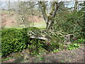 Footbridge upstream of the Stable Pond, Powis Castle