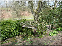 SJ2106 : Footbridge upstream of the Stable Pond, Powis Castle by Humphrey Bolton