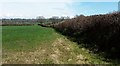 Footpath near Castle