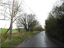 TM1453 : Rectory Road & footpath by Geographer