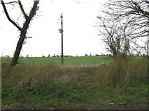 TM1453 : Footpath to the B1078 High Street by Geographer