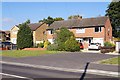 Houses along Sycamore Road