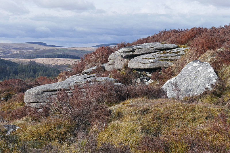 Lauhter Tor, Dartmoor © Alan Hunt Geograph Britain and Ireland