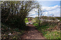 Trans Pennine Trail towards Manor Estate