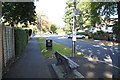 Bus stop on Canterbury Road