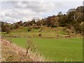 Fields near Townsend Fold