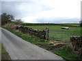 SD5399 : Farmland at Plough Farm by David Purchase
