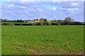 Farmland near Water Eaton