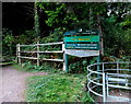 Welcome to the Warren Forestry Commission Wales site, Wernddu