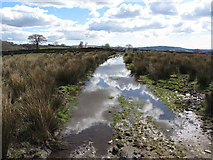 ST1398 : Flooded track on Gelli-gaer Common by Gareth James