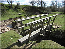 ST1398 : Footbridge across a tributary of the Nant Bryncanol by Gareth James