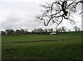 Farmland near Bridekirk