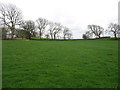 Farmland south of Bridekirk