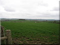 Farmland south of Bridekirk