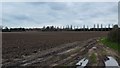 Recently Ploughed Field   opposite Lillibrooke Manor