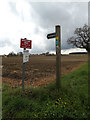 TM1253 : Bridleway signs at the entrance to Walnut Tree Farm by Geographer