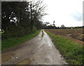TM1253 : Entrance to Walnut Tree Farm & Bridleway to Norwich Road by Geographer