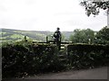 Wall  and  fence  from  Coggers  Lane