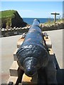 SX6740 : Cannon at Outer Hope by Philip Halling