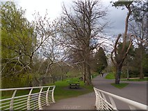 ST1776 : Bute Park, Cardiff by Robin Drayton