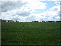 SK2634 : Farmland, Dalbury by JThomas