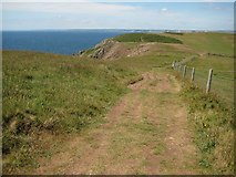 SX6739 : The coast path south east of Bolt Tail by Philip Halling