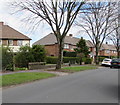 Trees and houses, Gabalfa Avenue, Llandaff North, Cardiff